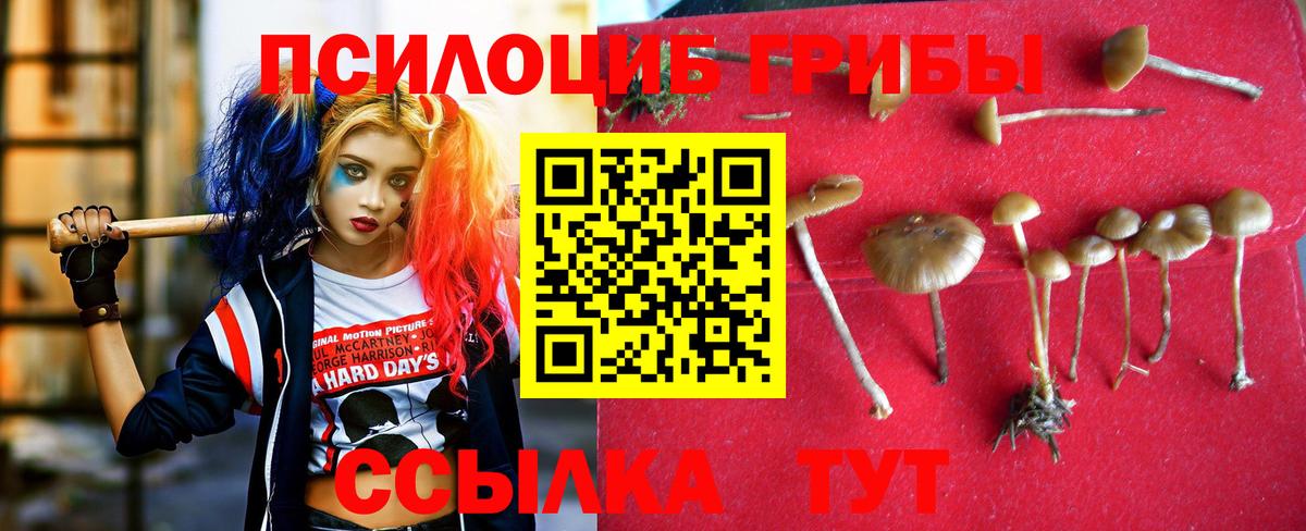 Туапсе  Псилоцибиновые грибы мухоморы  Вход с VPN 